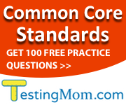 Common Core Standards Practice Test